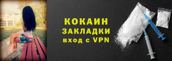 дмт Богородск