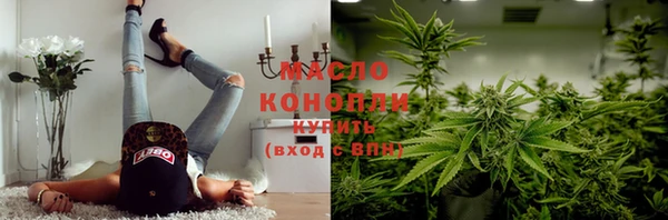гидра Богородицк