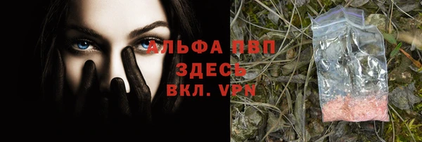 spice Богданович