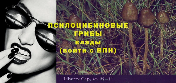 spice Богданович