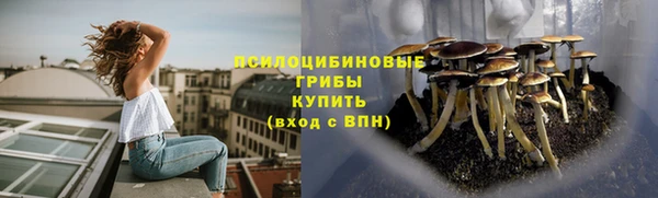 гидра Богородицк