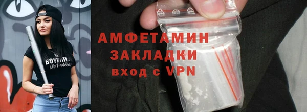 гидра Богородицк