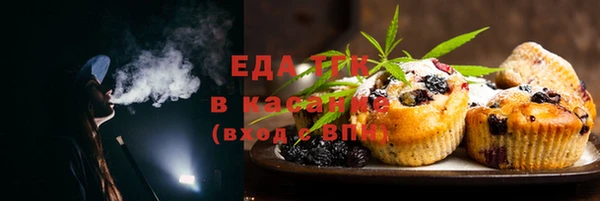 гидра Богородицк