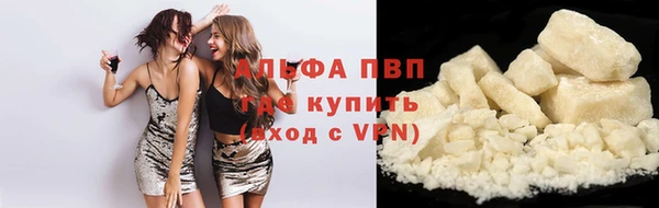 гидра Богородицк