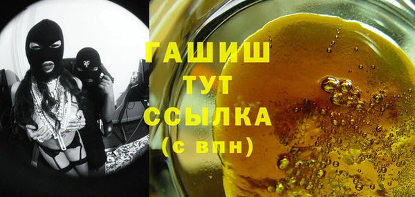 гидра Богородицк