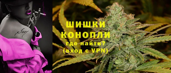 дмт Богородск