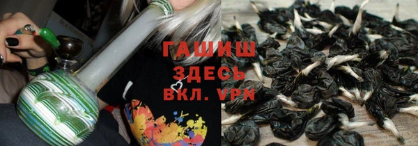 spice Богданович