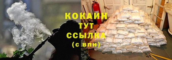 spice Богданович