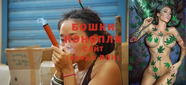 гидра Богородицк