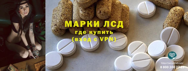 spice Богданович