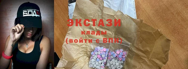 гидра Богородицк